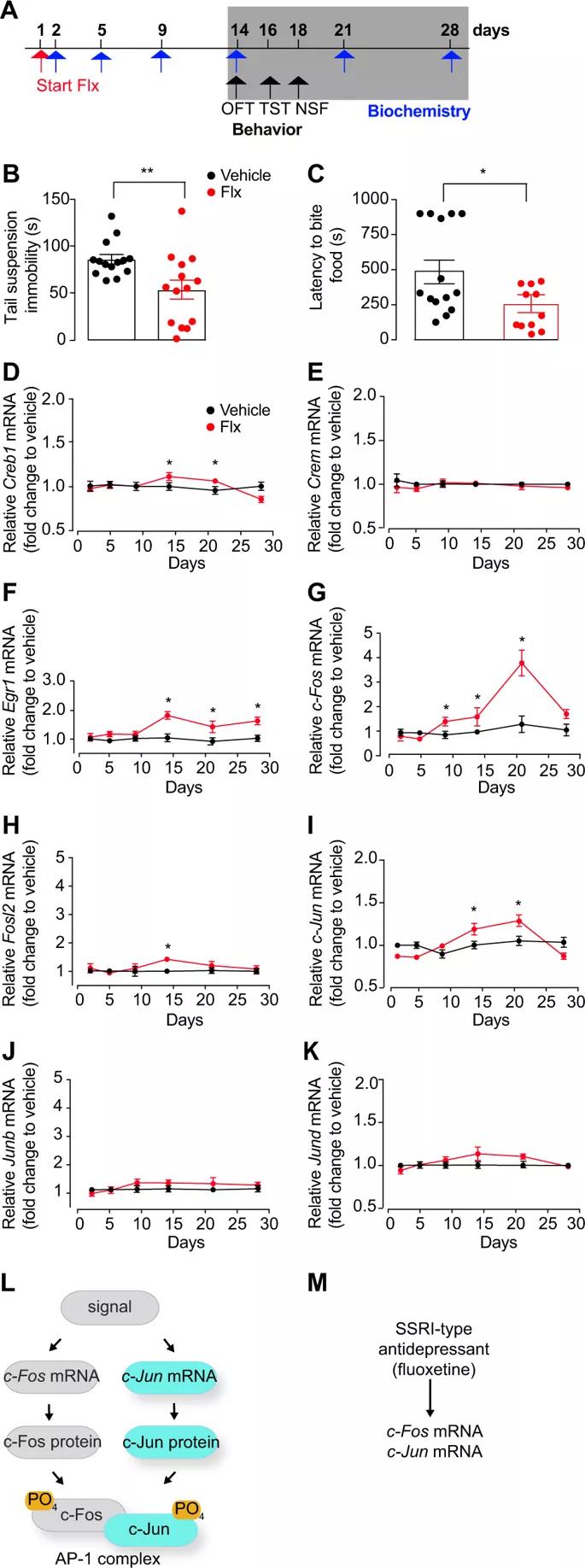 092期抑研报|抑郁症对阿茨海默病中痴呆症状的影响