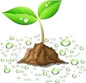 小学语文知识大集结练习十一,小学语文基础知识的练习册