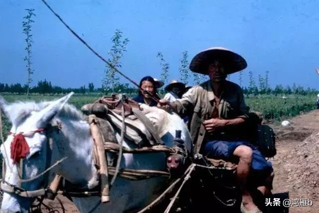 50年代农村的婚姻生活,80年代农村真实故事大全完整版