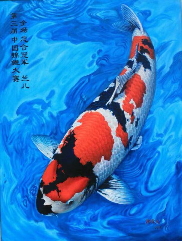 鱼缸养锦鲤鱼的方法和技巧,鱼缸新手养锦鲤鱼的正确方法