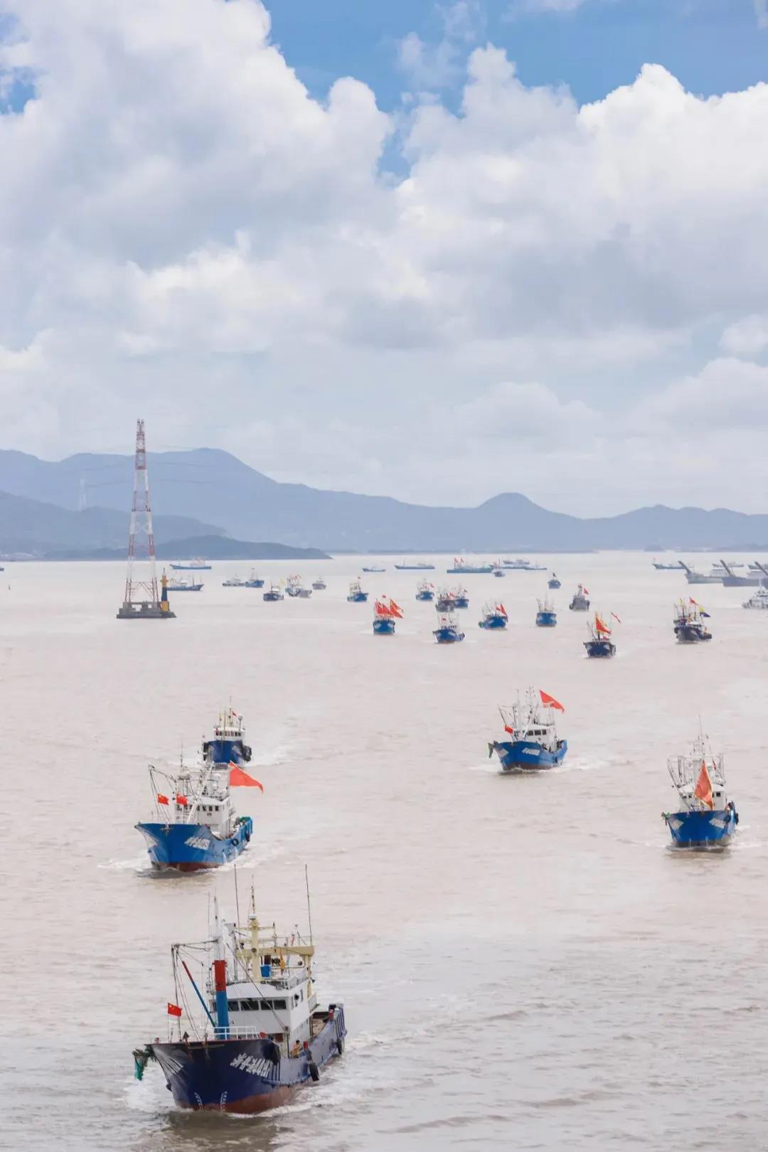 渔都舟山群岛的海鲜果然名不虚传,舟山渔港最好吃的海鲜
