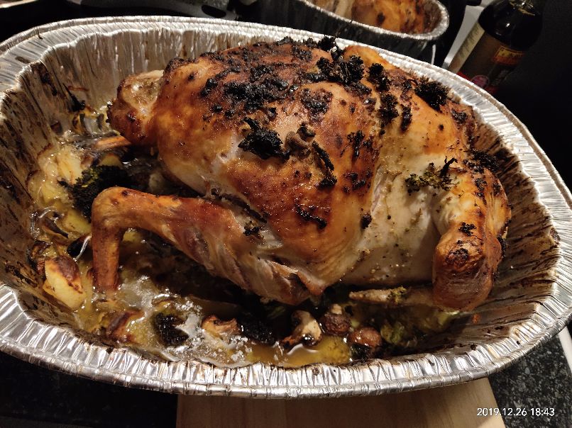 火鸡很难吃,火鸡难吃的视频