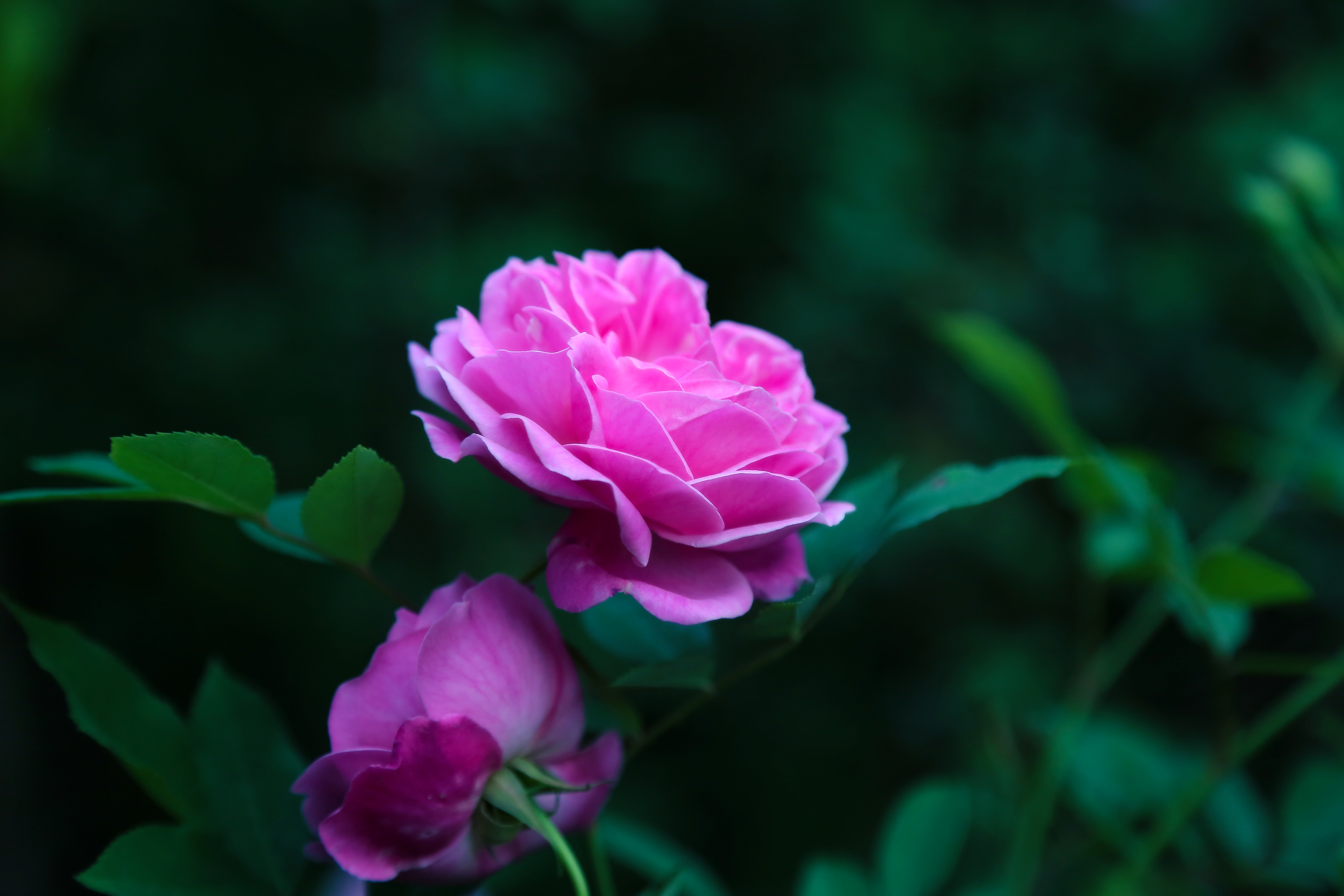 摄影后期色彩搭配原理与技巧,顶级摄影作品中的色彩运用