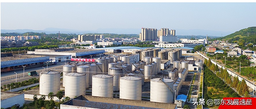 湖北宜昌酒业有哪些,湖北酒业巨头