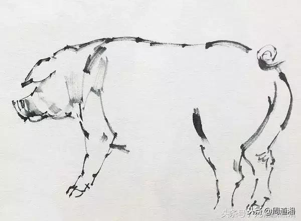 国画工笔猪图片,大写意画猪国画作品