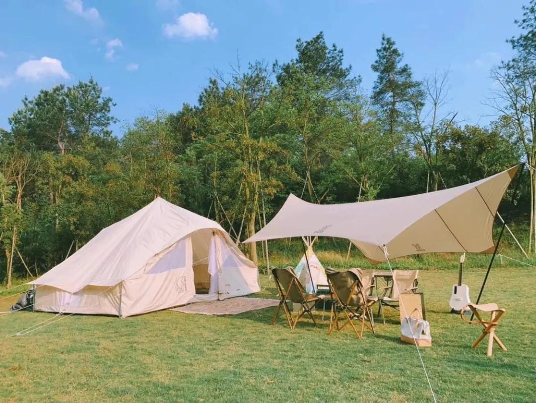 直播间权重和客单价有关系吗,直播高客单价冷门类目