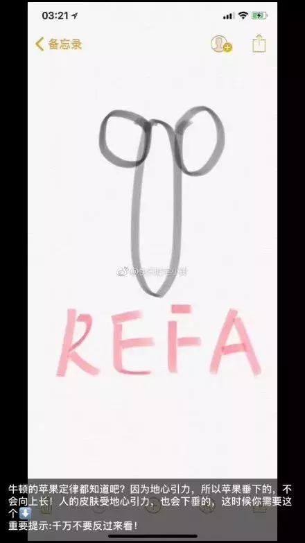 2019第一天就笑抽了!朋友圈代购集体“整容”,变身灵魂画手……