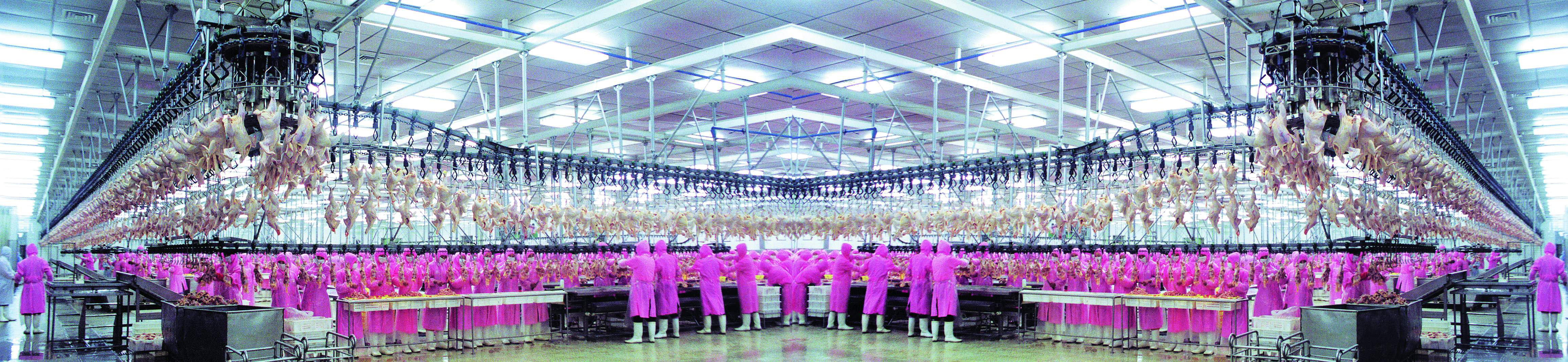 中国食品名城—吉林德惠