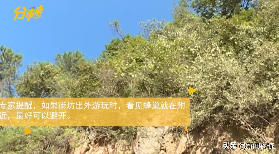 江西女子被蜂群袭击视频,江西女子遭蜂群猛攻后续