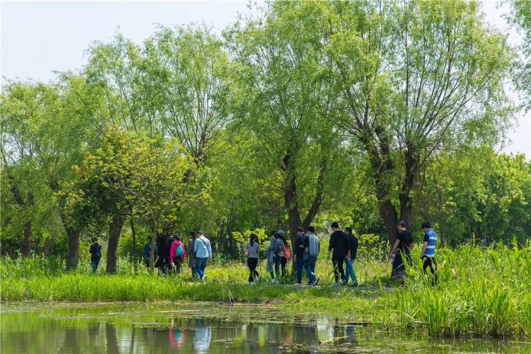 沙家浜：名门闺秀的英雄豪气