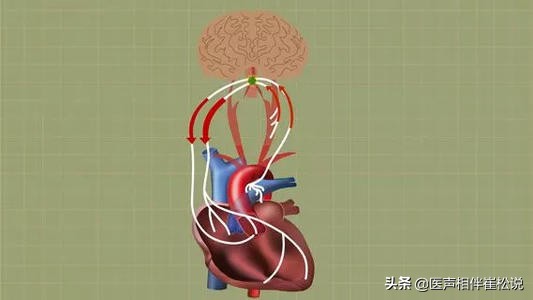 突然晕倒可以根治吗,突然晕倒醒来大汗淋漓心源性晕厥