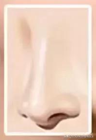 什么样的鼻子好看图片,男生什么样的鼻子最好看