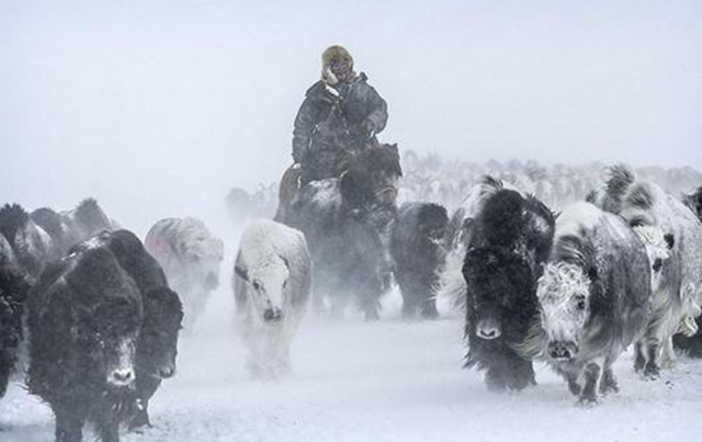 阿尔泰语系源自哪里,阿尔泰语系在中国主要分布地域