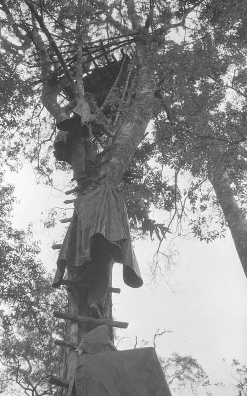 炮兵的冲击力有多大,炮兵对战争的重要性