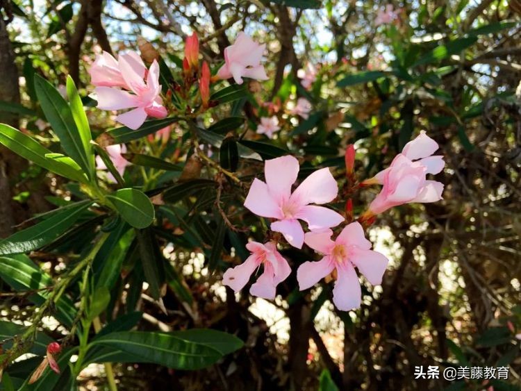 美国硕士套磁注意什么,美国套磁需要什么手续