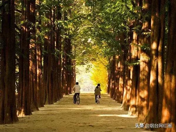 济州岛主要景点在哪个区,济州岛旅游景点排行第几位