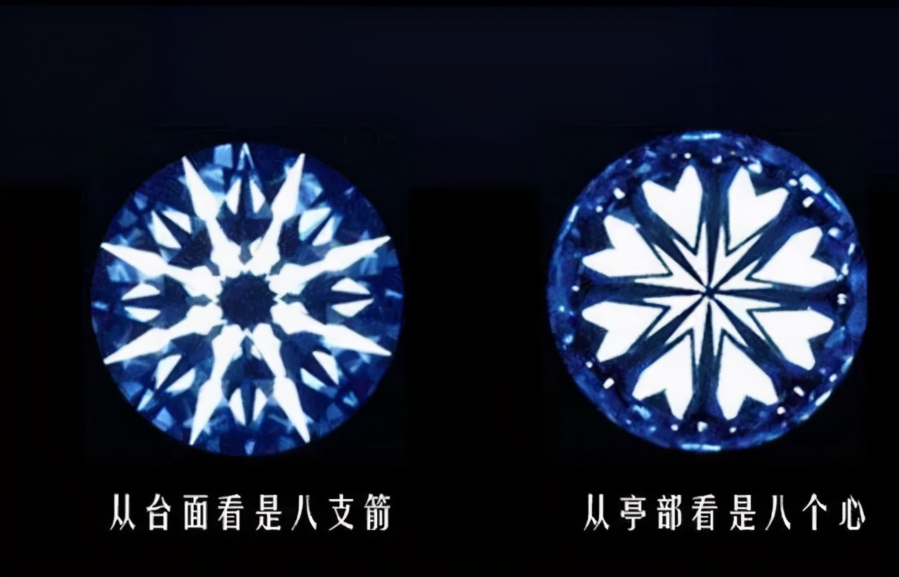 宿言：据说常看“电视购物”，有助于提升营销水平