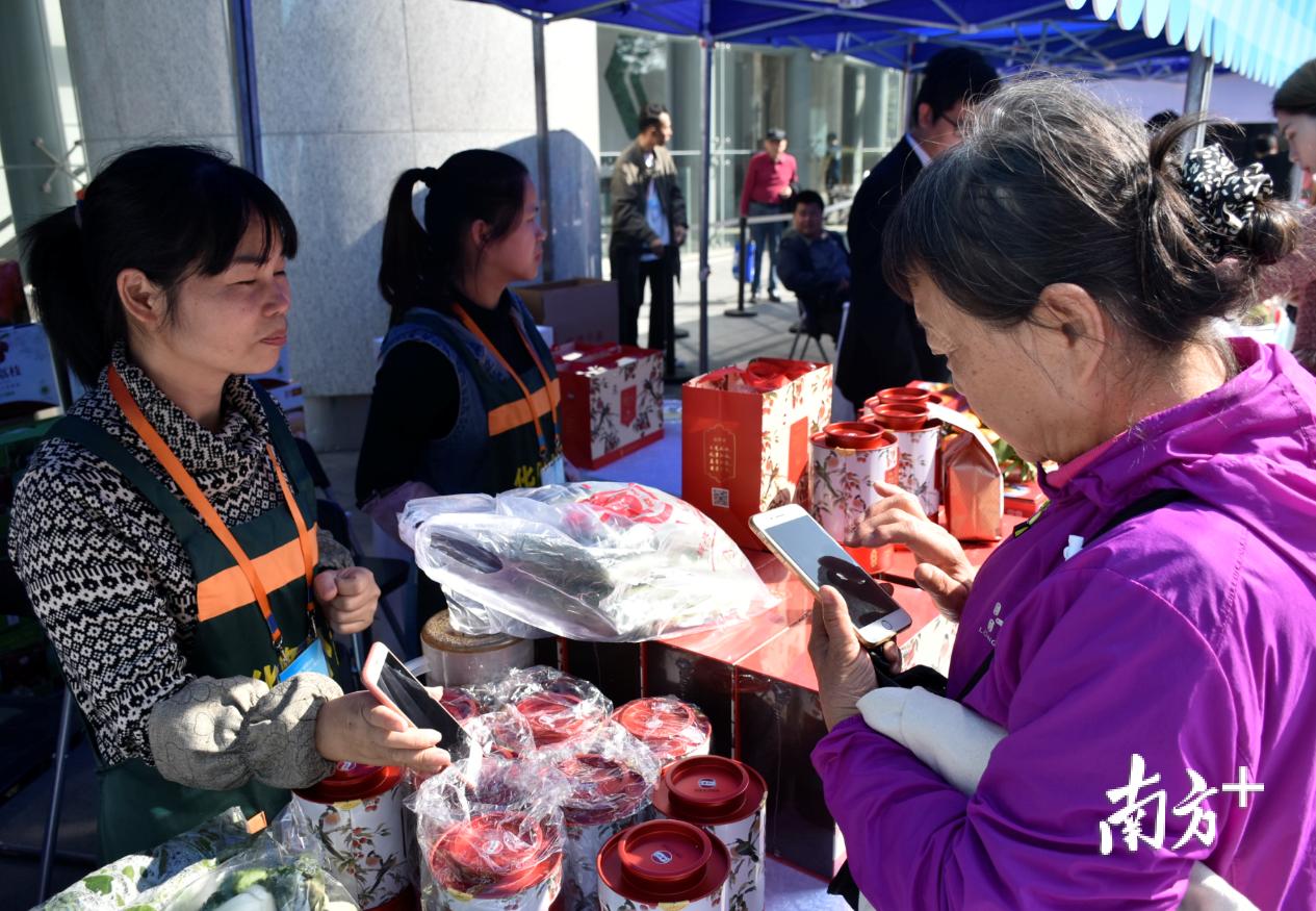 广州从化名优农产品,广州从化好吃的荔枝