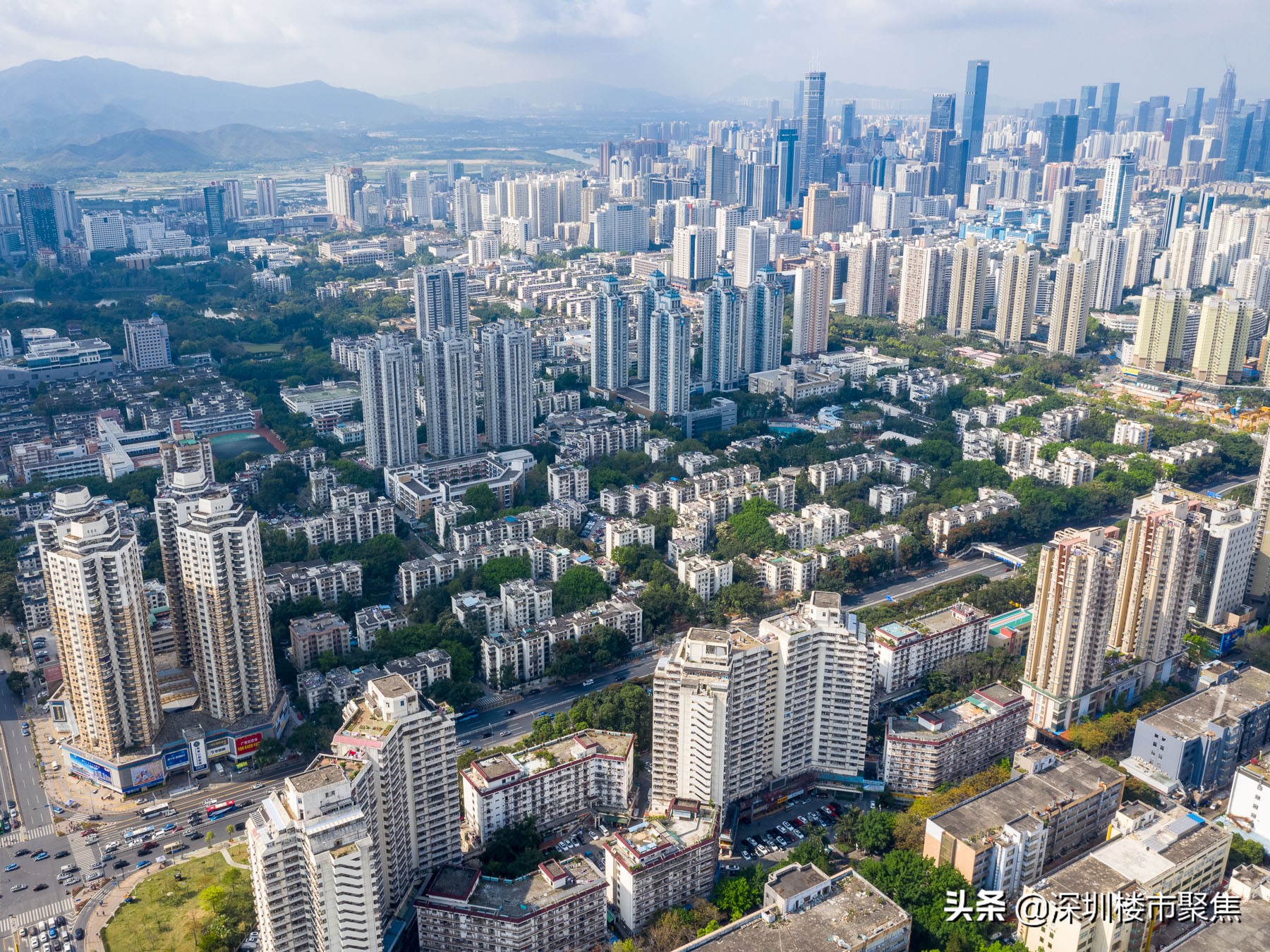 深圳红岭片区名校云集,深圳市十大名校红岭