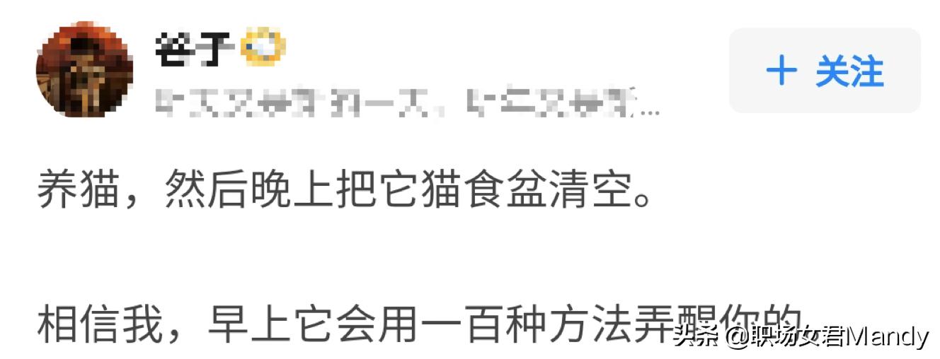 早上起不来，萎靡一整天？学会调节血清素，掌握科学“起床法”