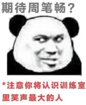 隆鼻张柏芝鼻型,浪姐张柏芝新消息