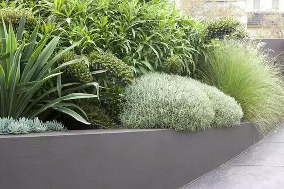 庭院铺装的节奏感与多样性,庭院的音乐