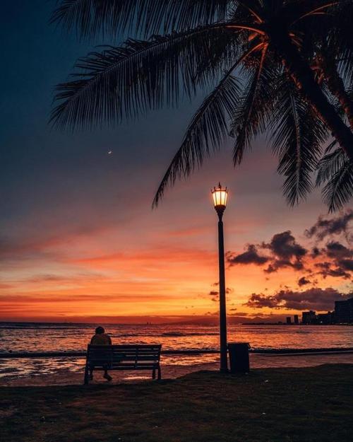 叔本华摇摆论,叔本华人生两件事