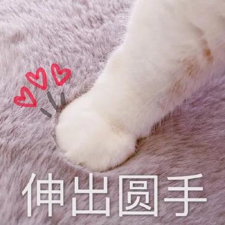 女明星都在敷面膜,出门敷面膜