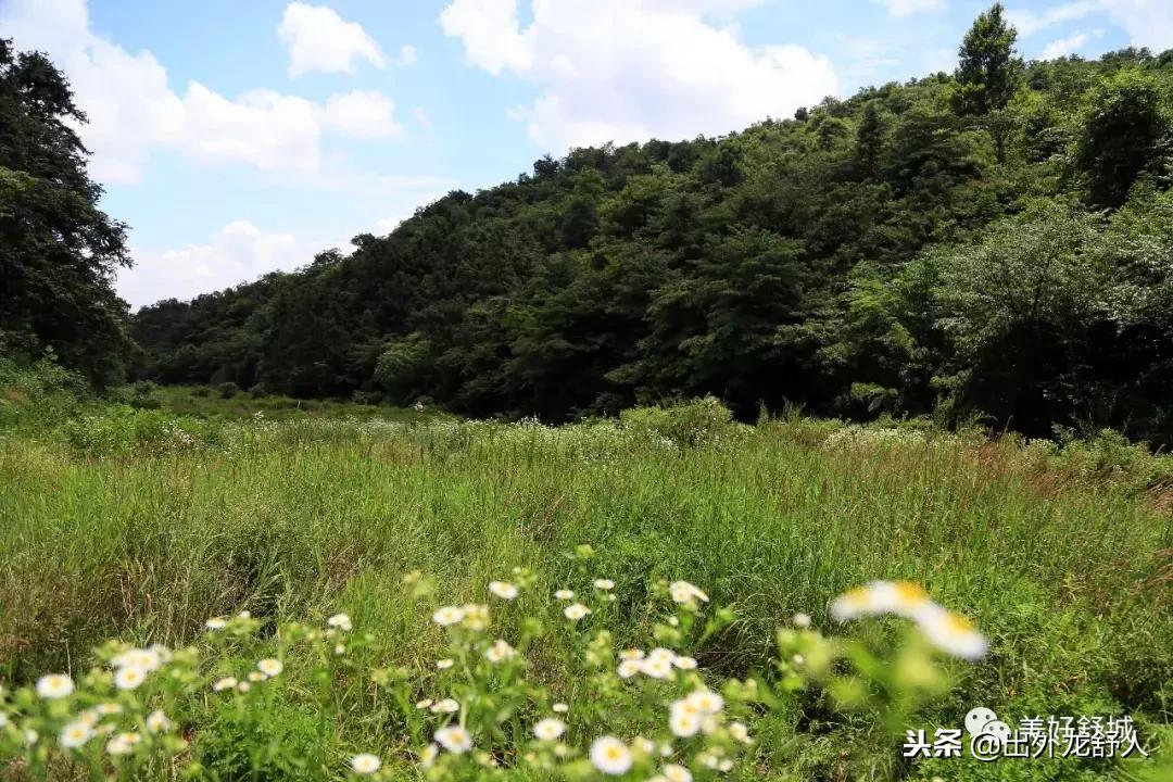 舒城县五显镇石关风景区,舒城石关风景游玩攻略