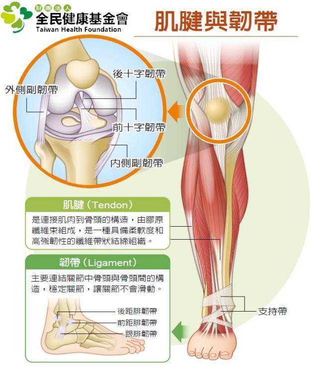 人体哪个关节容易受伤,人体最脆弱的关节在哪里