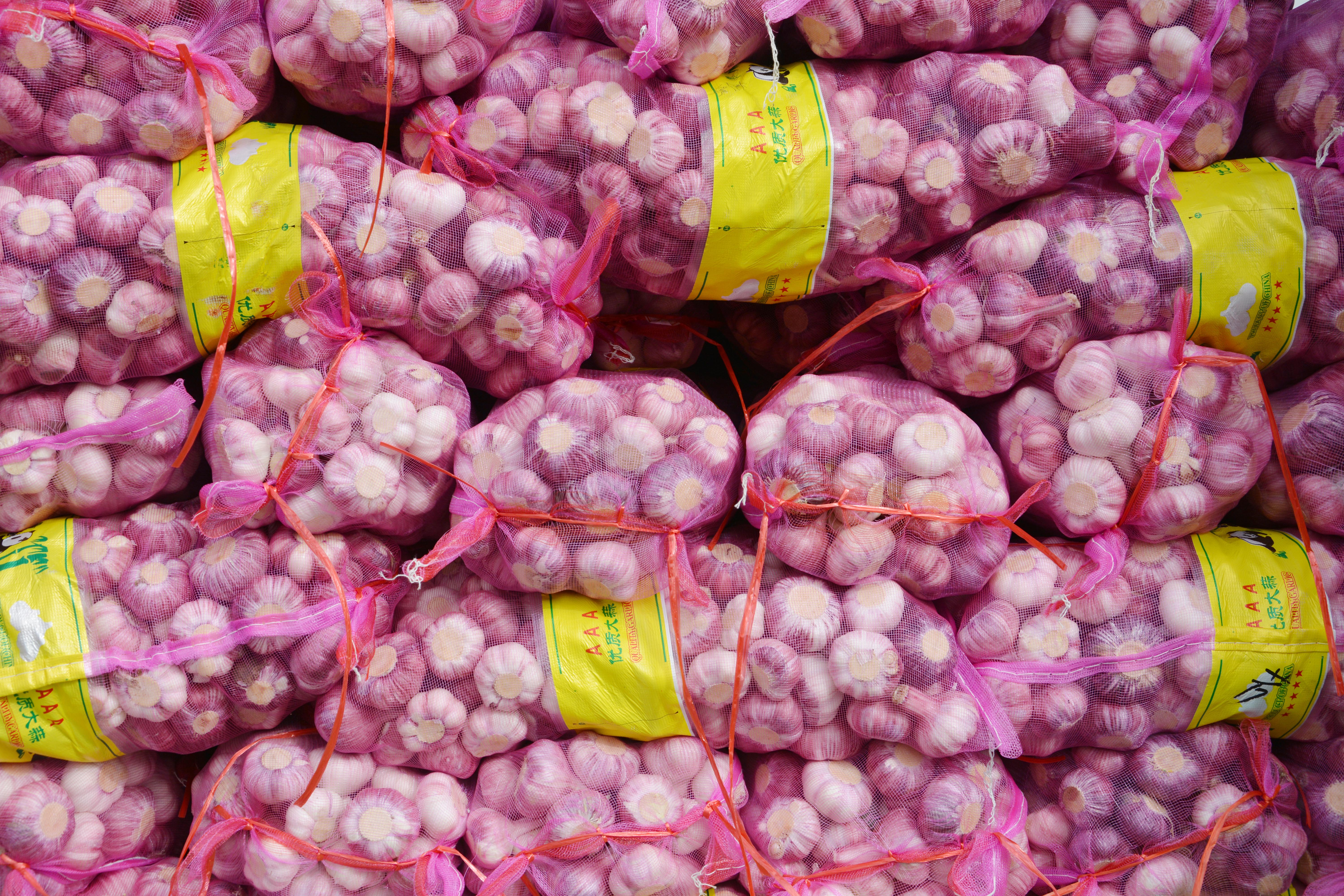 大蒜蒜苔行情分析,新蒜苔批发