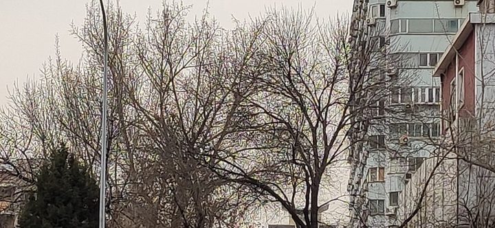 小米9旗舰手机测评,现在小米9还值不值得买