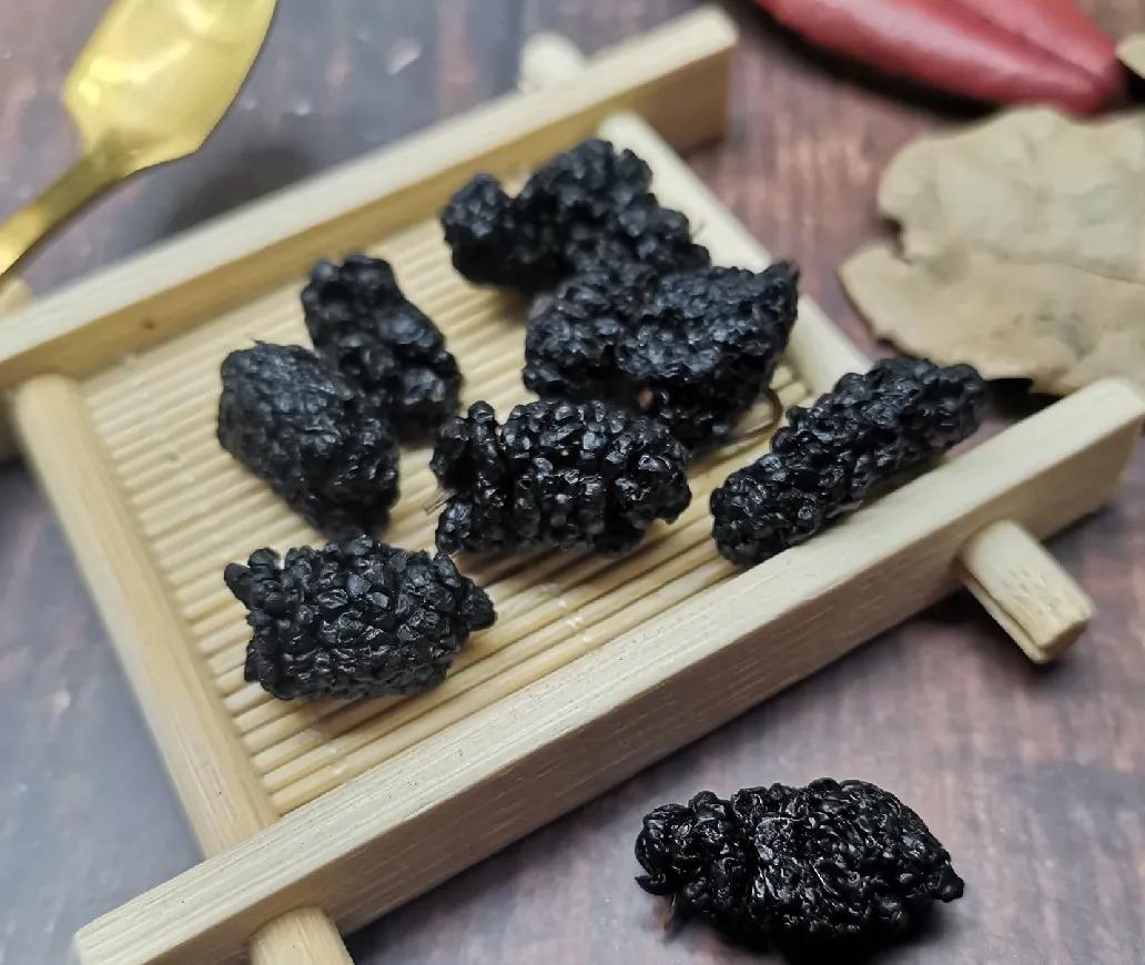 中药里面的桑黄,中药中的桑黄