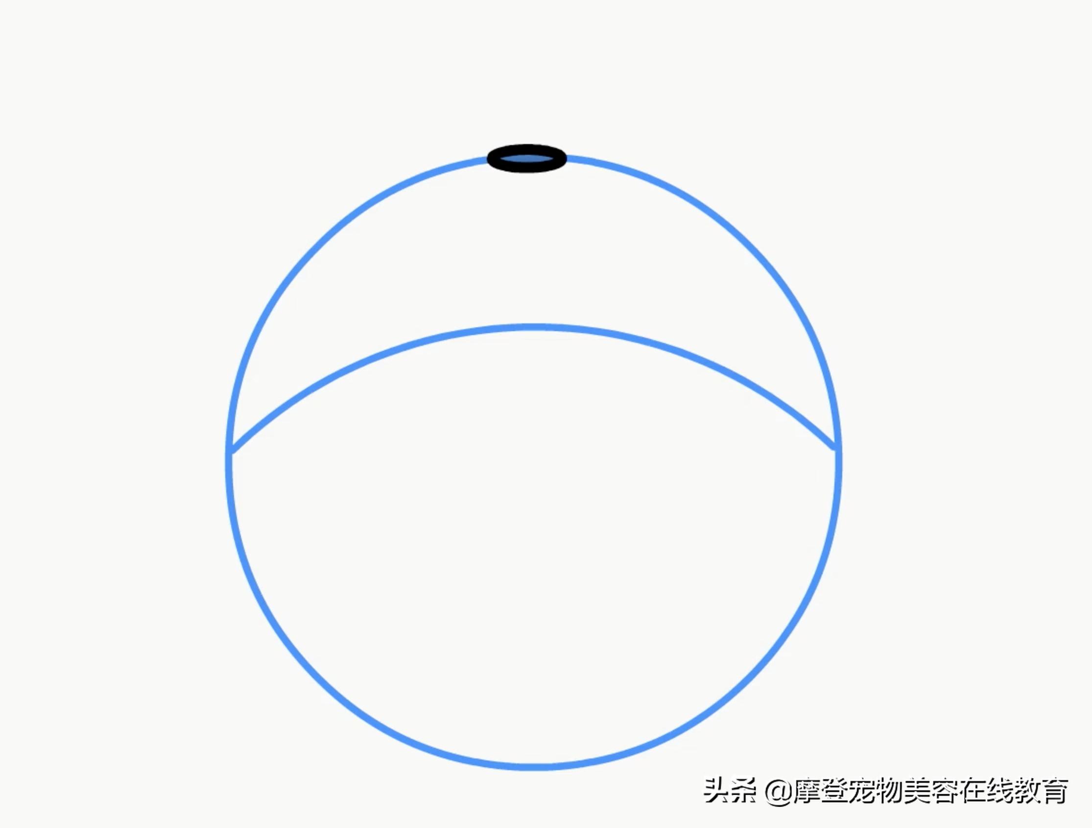 比熊美容剃剪教程,比熊美容教学剪毛视频