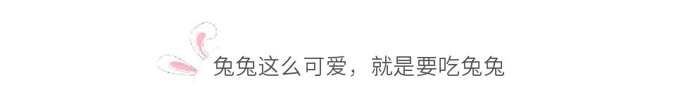 兔子做过什么不可思议的事,当兔子遇到小主人会怎样