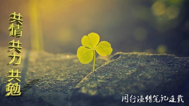 渔具店赞助钓鱼比赛活动,渔具赞助商