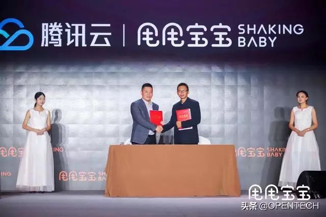 甩甩宝宝腾讯招商,甩甩宝宝运营模式