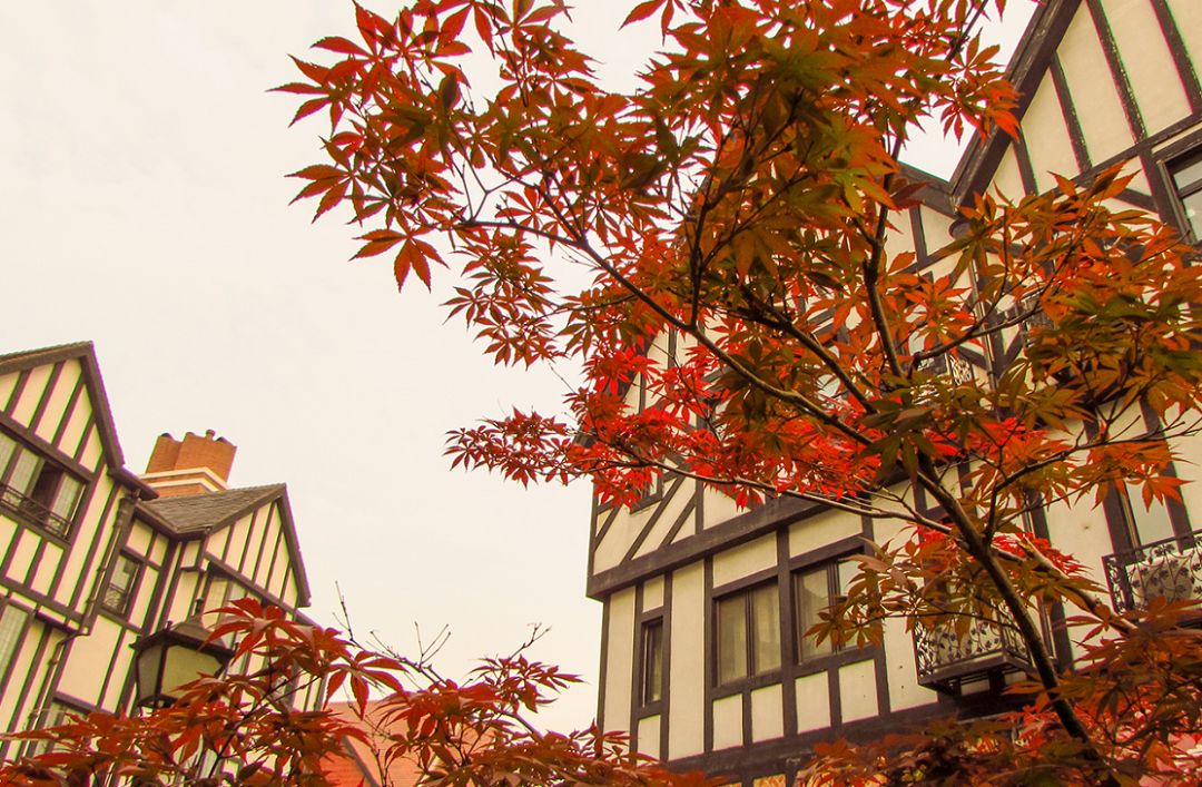 12月份上海周边好去处,上海年轻人周末玩乐好去处