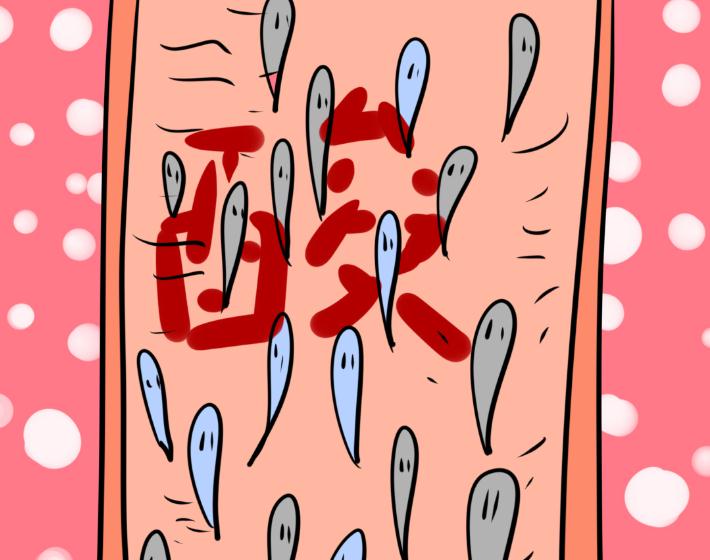 没有受孕的小蝌蚪会流出来吗,没有受孕的小蝌蚪到哪里去了