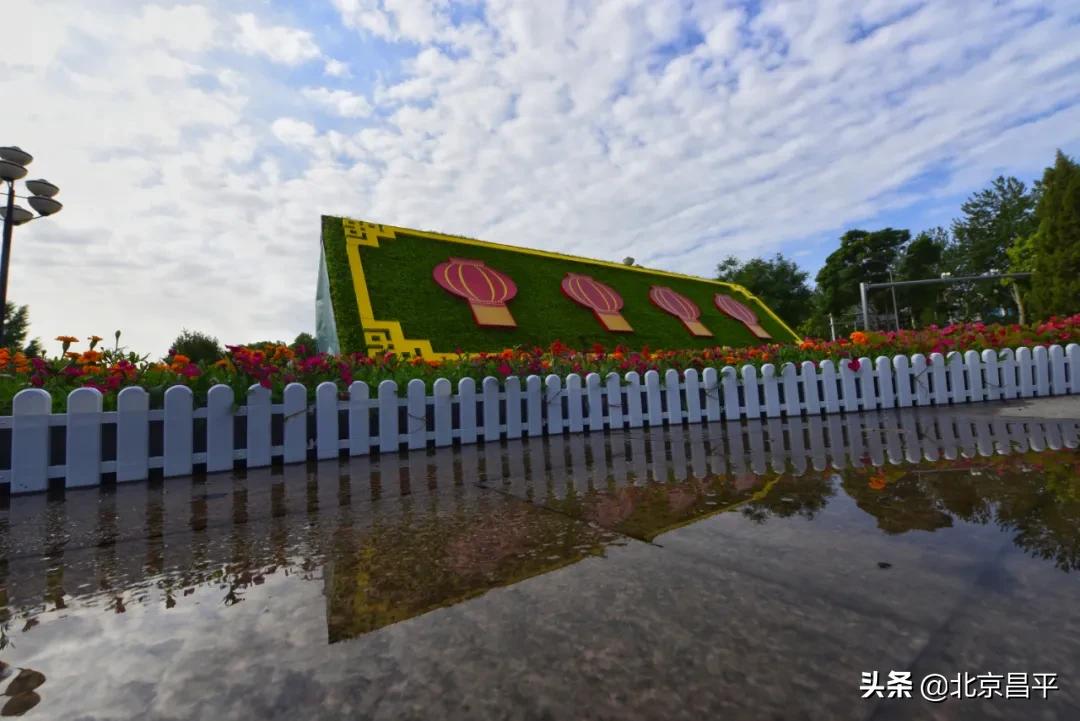 北京庆七一花坛摆放图片,北京长安街迎国庆立体花坛亮相