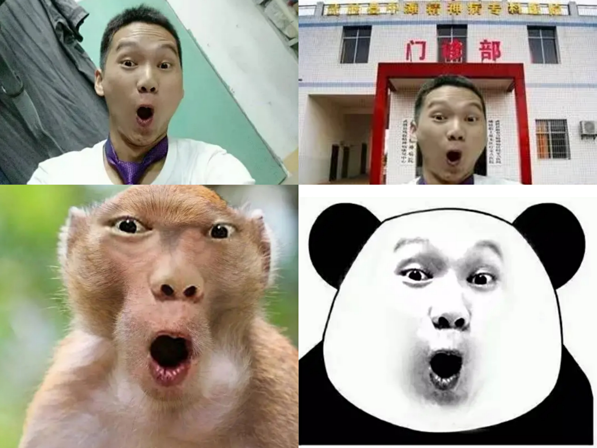 鹿晗二次元照片,当鲨鱼遇到大神鹿晗