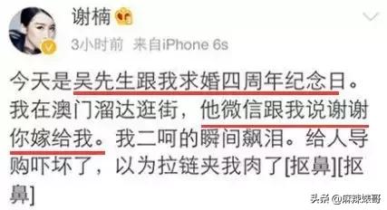 吴京电影宝藏,吴京演了无价之宝吗