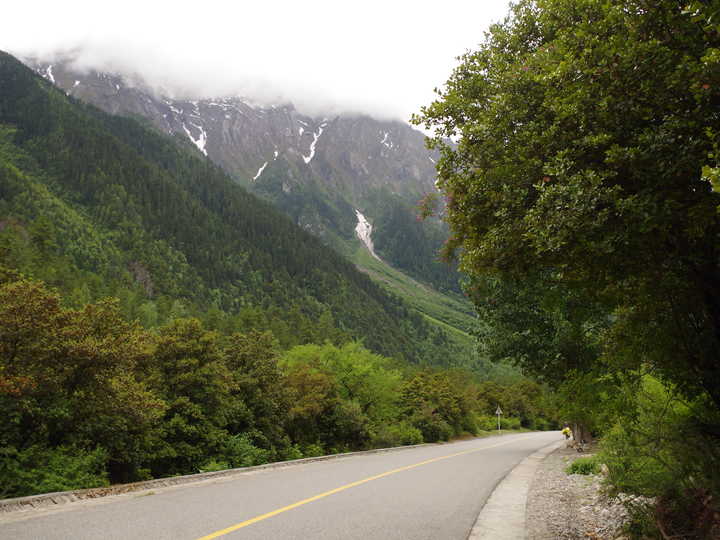 王小花的全部作品,王小花攻略