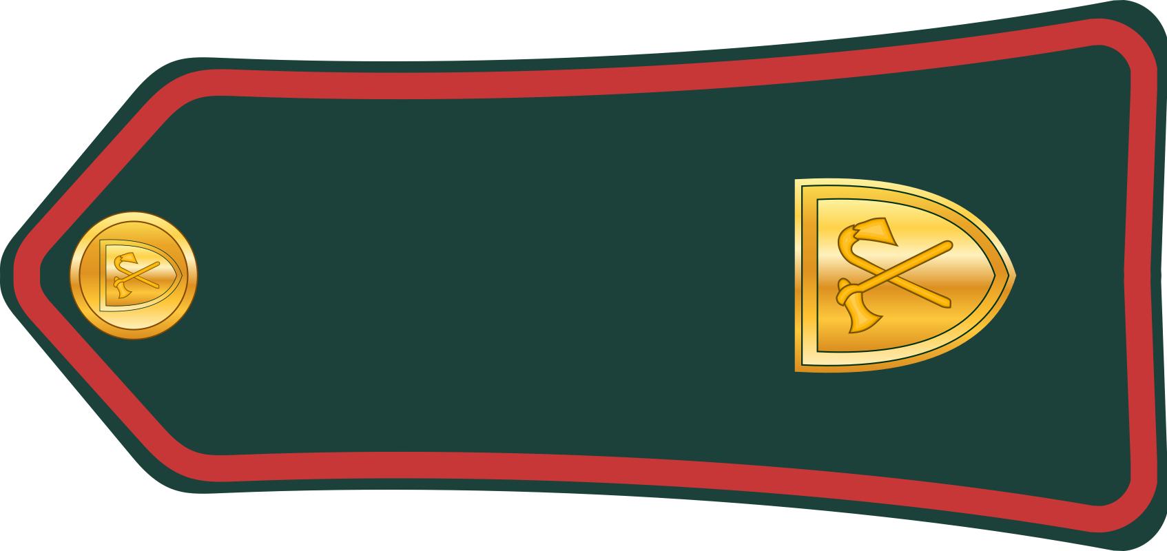 西亚各国军衔,各国军衔标识坦桑尼亚