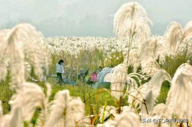 长沙隐藏的小岛,其实长沙还藏着很多小众景点
