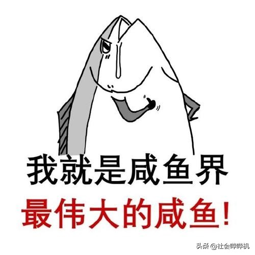 赚钱的方法都在这里了！——盘点点评目前各种最流行的低门栏操作