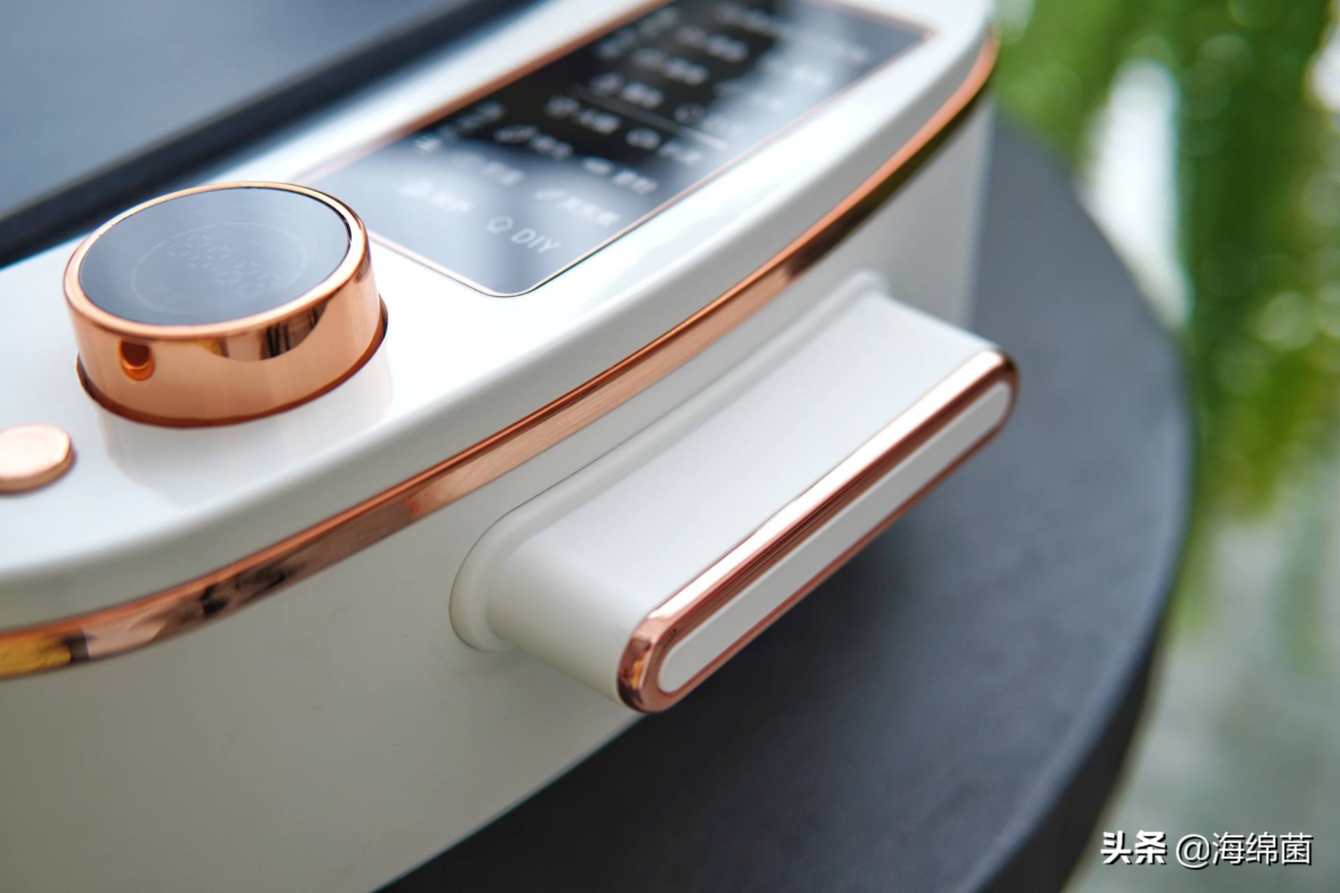 bolali博拉利多功能蒸汽料理锅,蒸汽桑拿锅测评