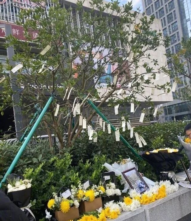 高以翔灵堂开放悼念可以看到人吗,高以翔灵堂遗体对外公开吗