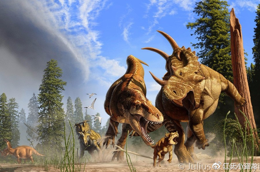 长得跟其他恐龙不一样的恐龙,恐龙化石奇怪的动物