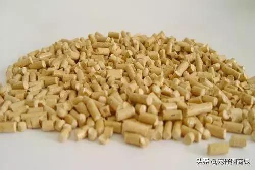 宠物粪便属于什么垃圾,垃圾分类猫砂粪便怎么归类